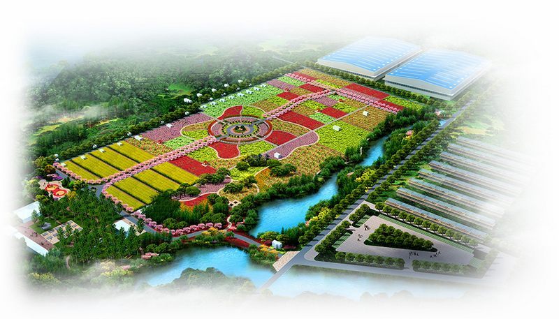 公園景區(qū)——濰坊市白浪綠洲生態(tài)旅游帶濰城區(qū)玫瑰園